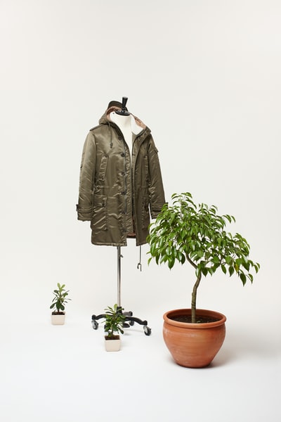绿色植物旁的棕色夹克
